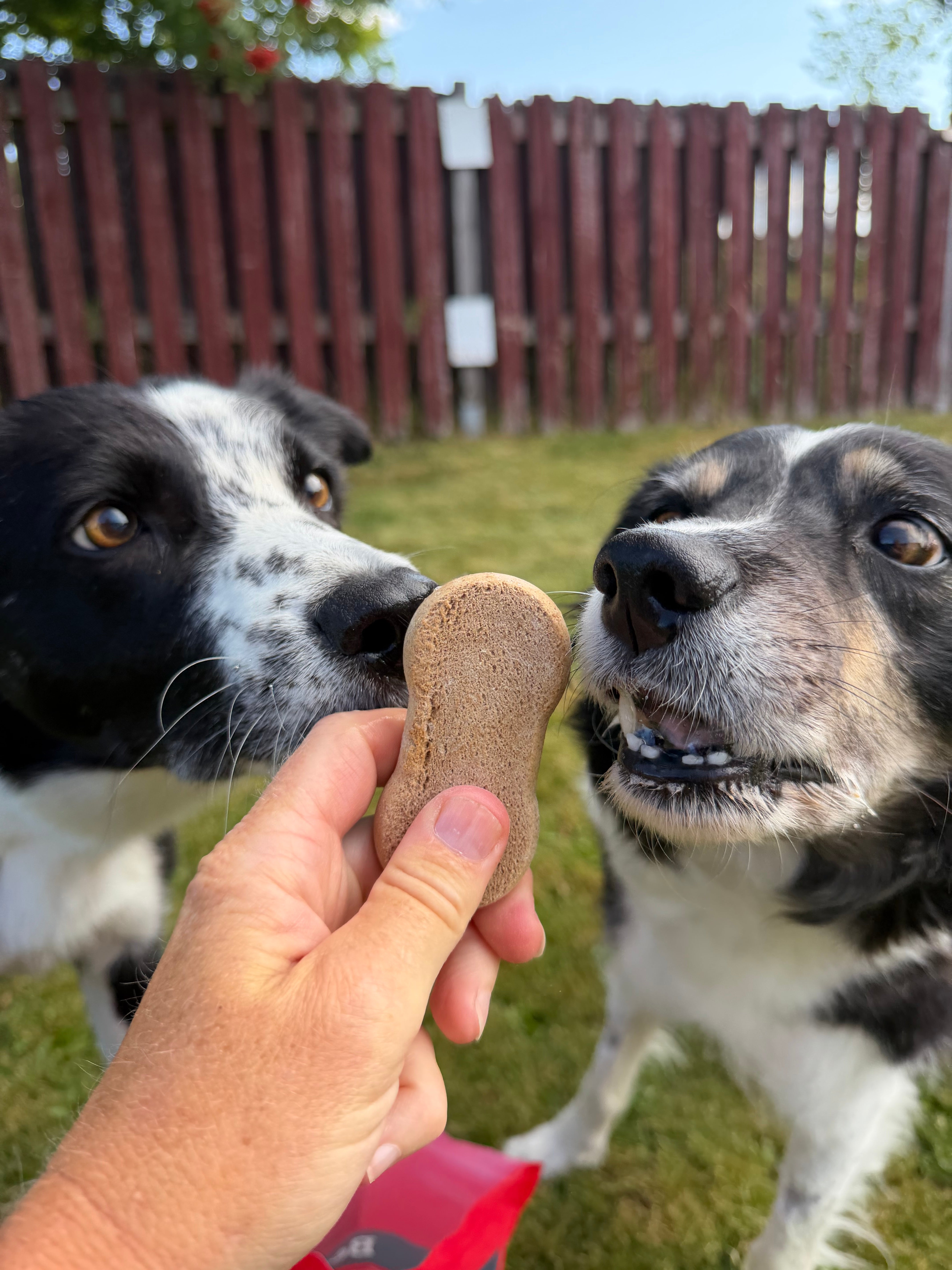 Mera Biscuits hundekjeks 1 kg sukkerfri