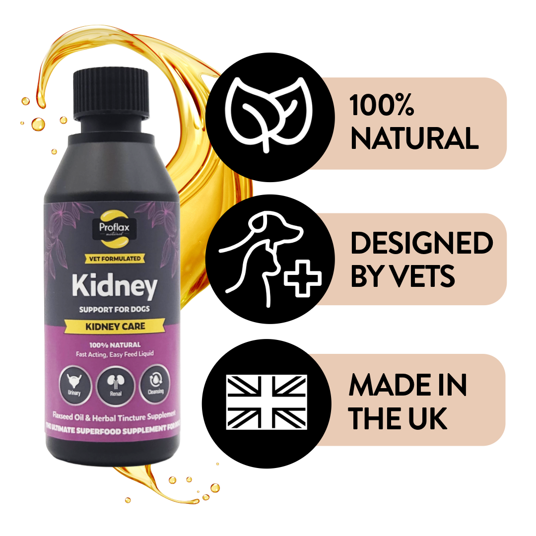 Proflax Kidney Care olje 100 ml nyre urinvei
