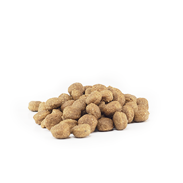 Vetivo hundefôr kylling laks 4 kg kornfritt