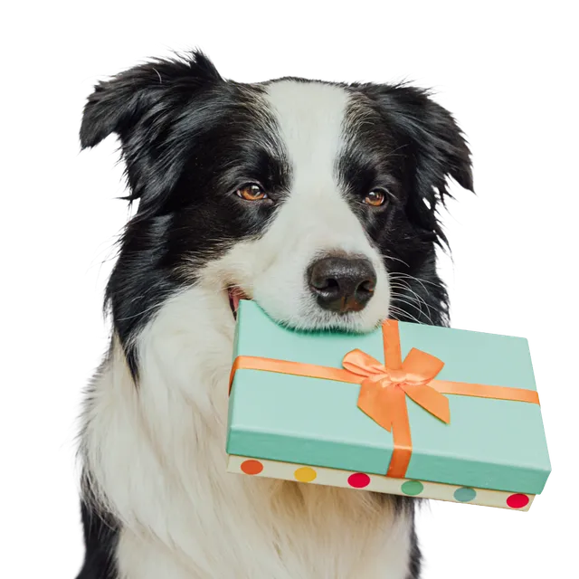 Proflax Digital Gift Card gavekort naturlig hundestell
