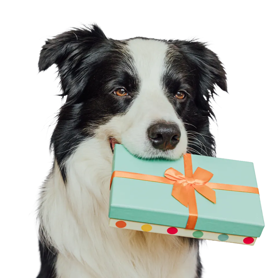 Proflax Digital Gift Card gavekort naturlig hundestell