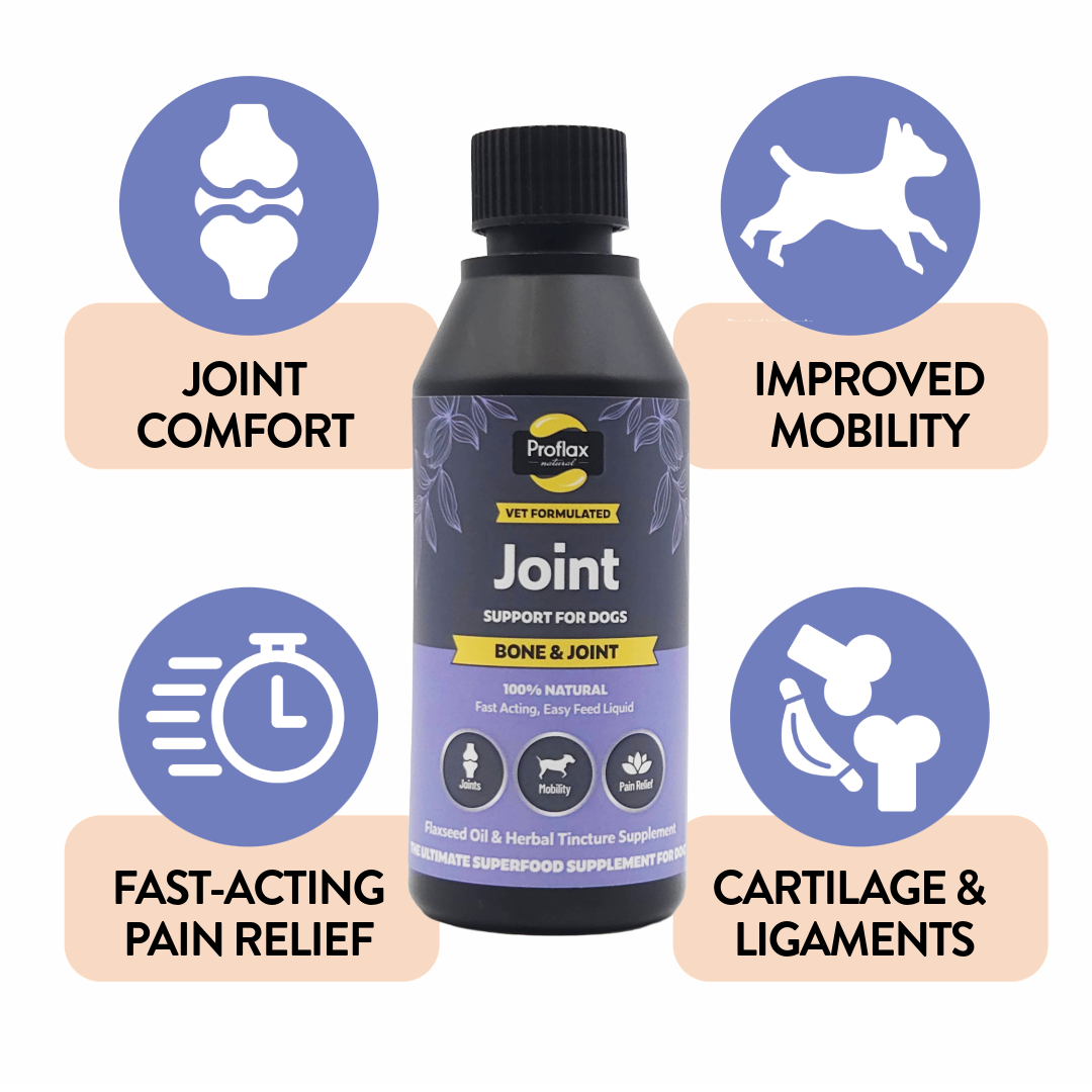 Proflax Bone & Joint olje hund 250 ml ledd