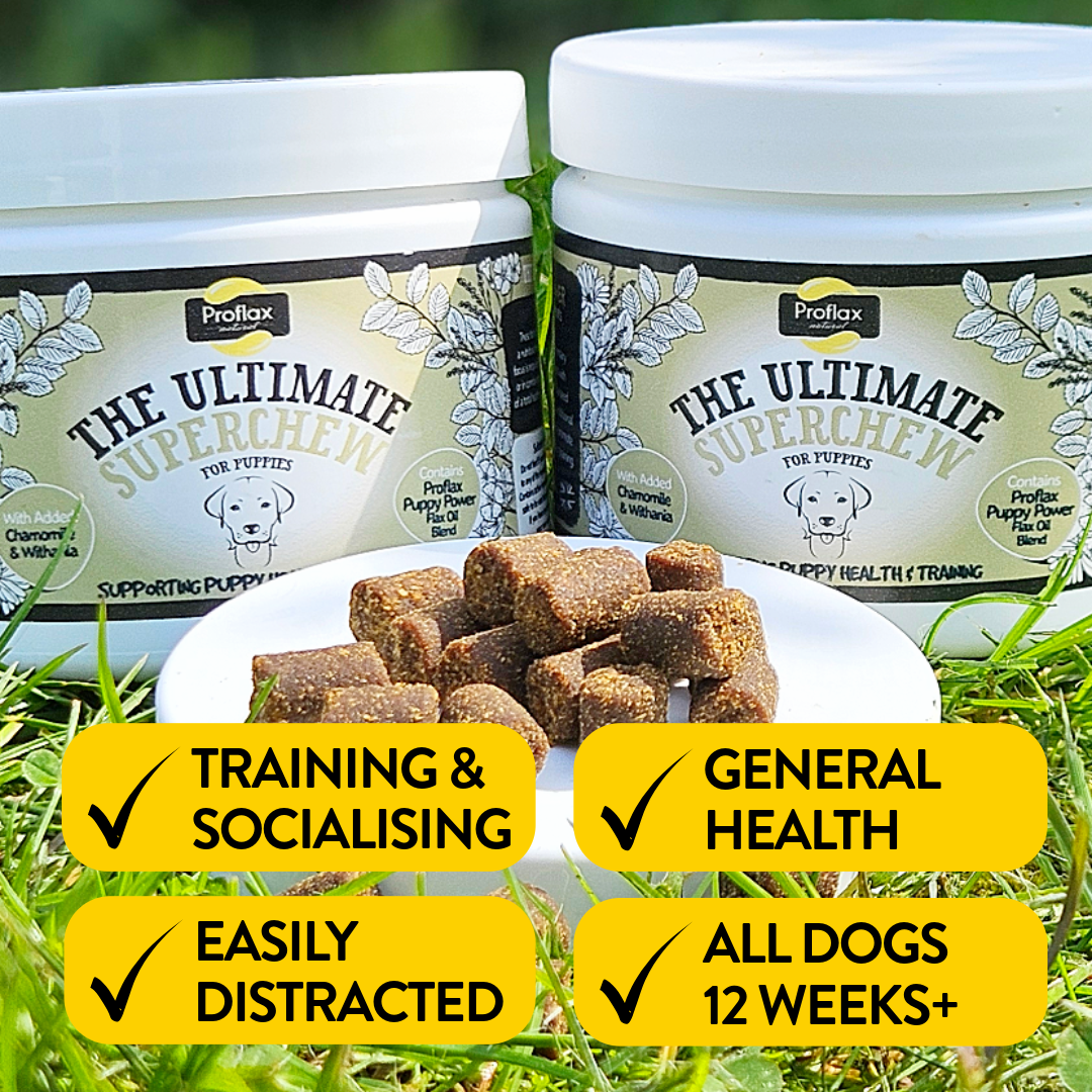 Proflax Puppy Superchews valpegodbit 120g rolig vekst