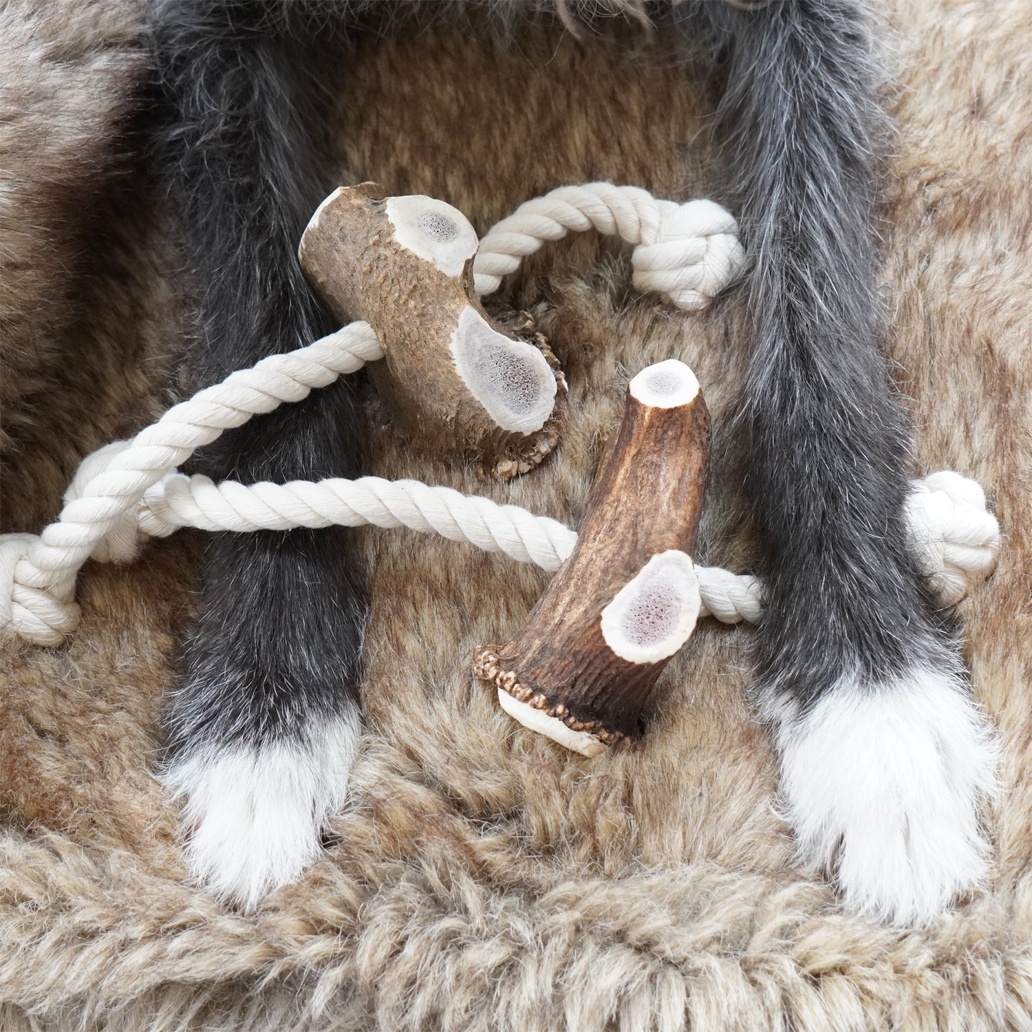 The Innocent Hound Antler Rope hundeleketøy Chunky hjortegevir