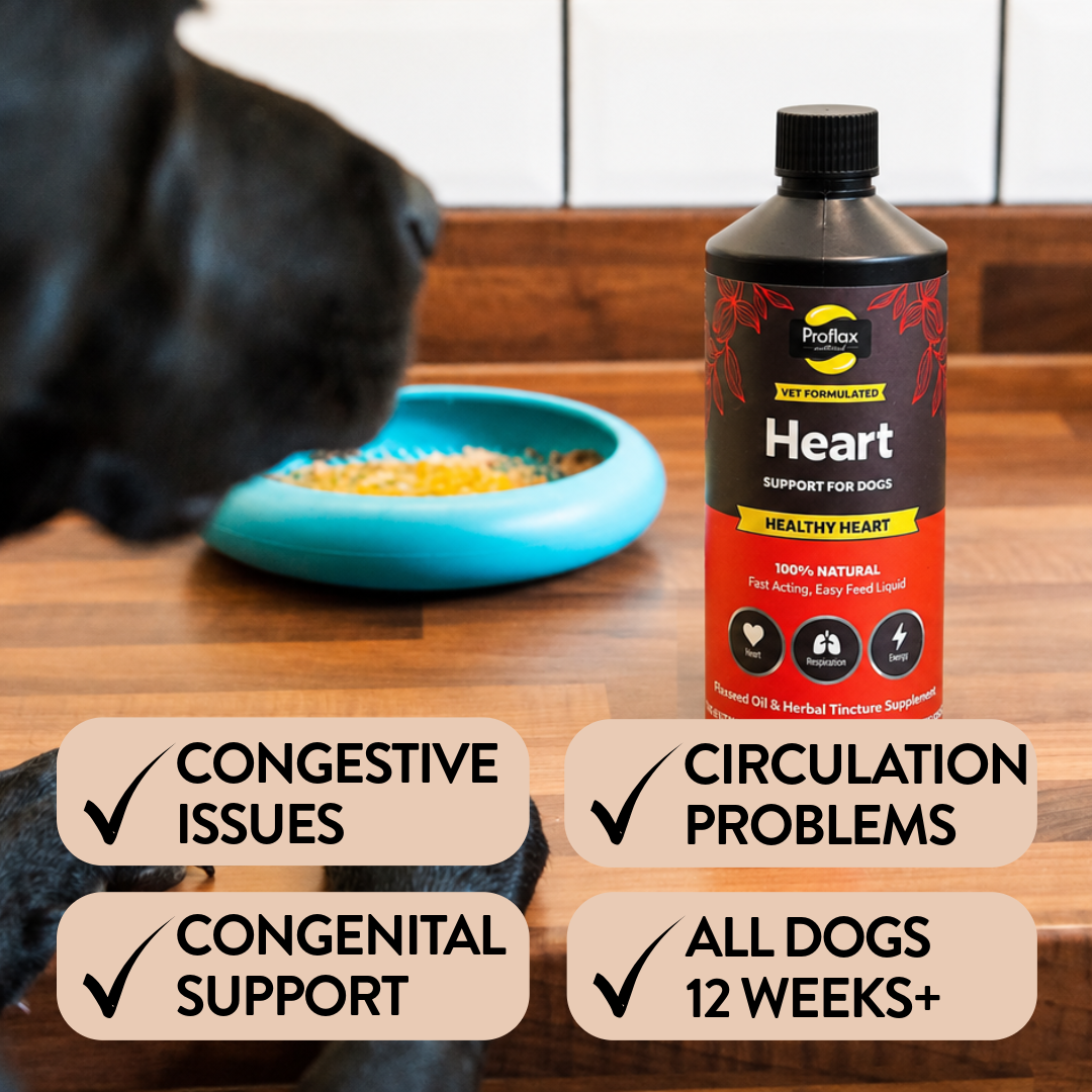 Proflax Healthy Heart olje hundetilskudd 100 ml hjerte