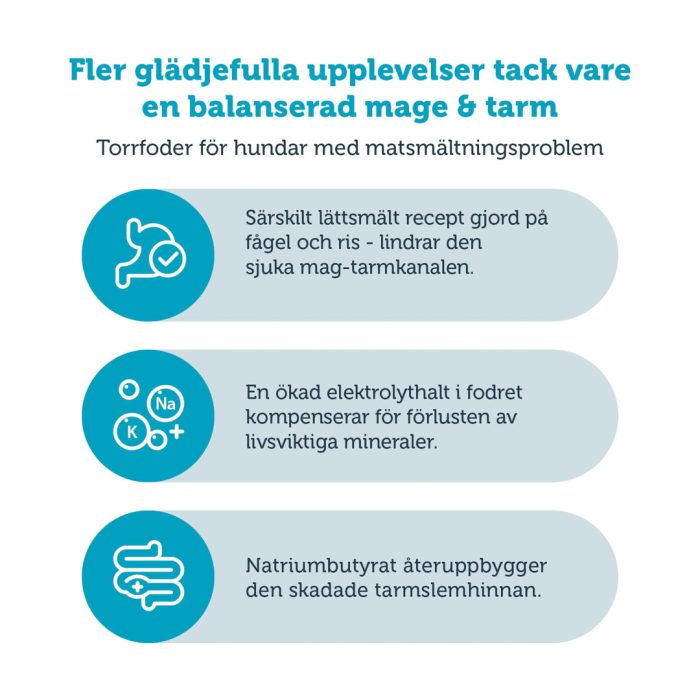 Mera vital Gastro tørrfôr hund 3 kg mage