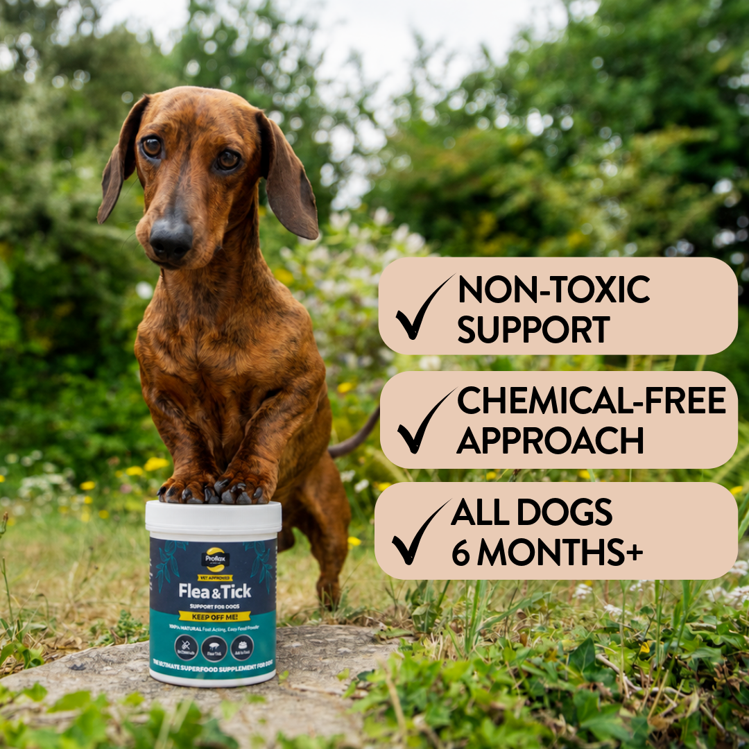 Proflax Keep Off Me pulver hundetilskudd 100 g flått