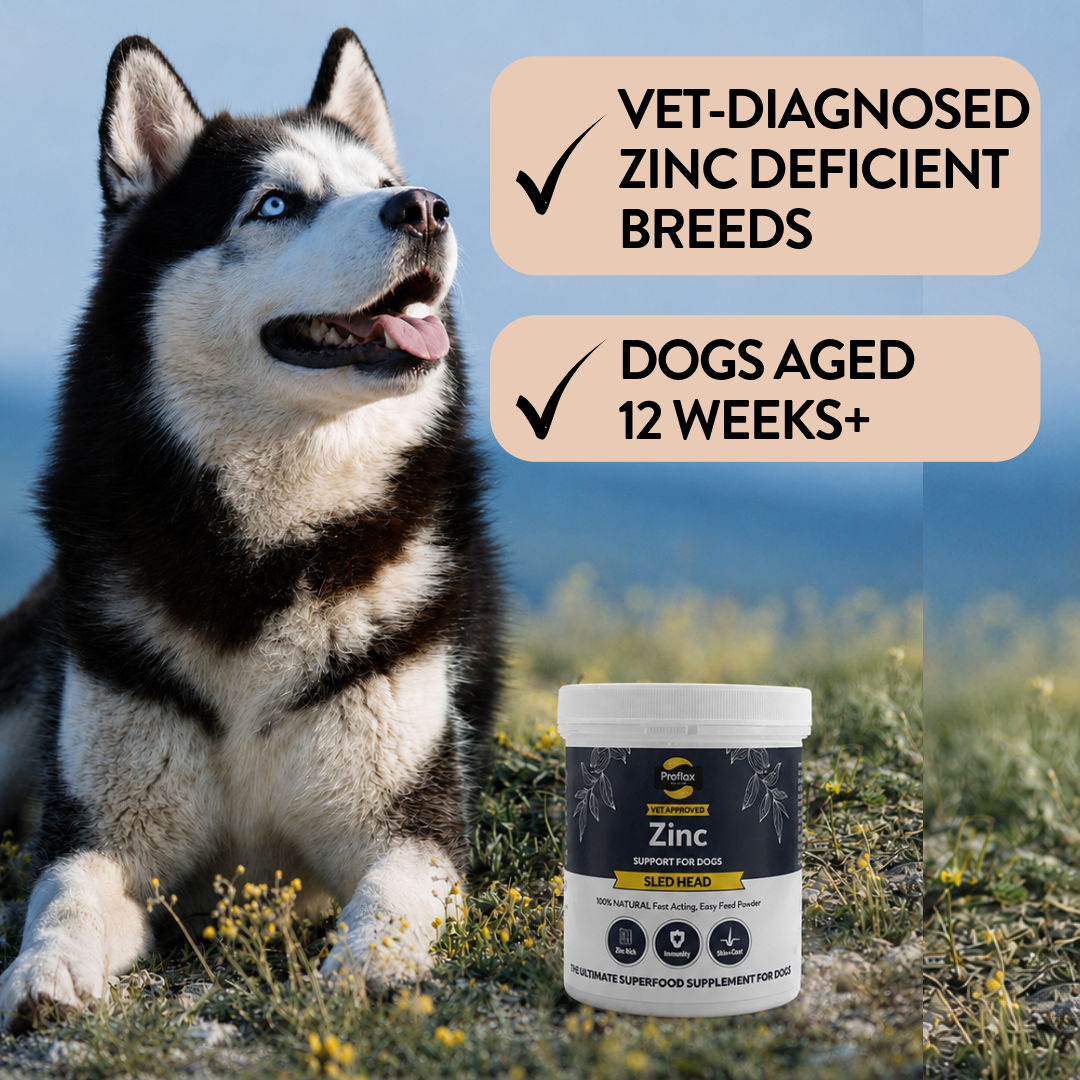 Proflax Sled Head sinkpulver til hund 115 g hud pels