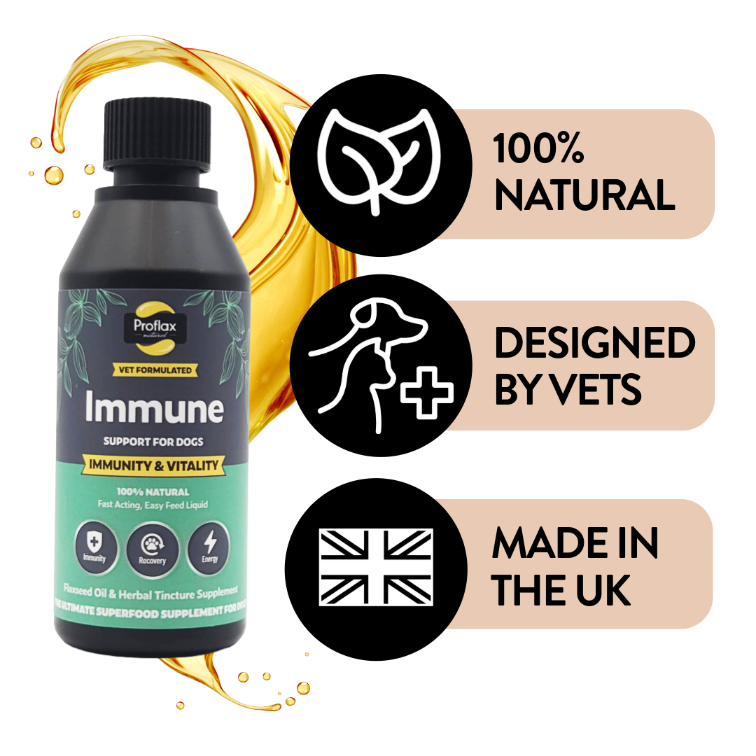 Proflax Immunity Vitality olje 100 ml immun