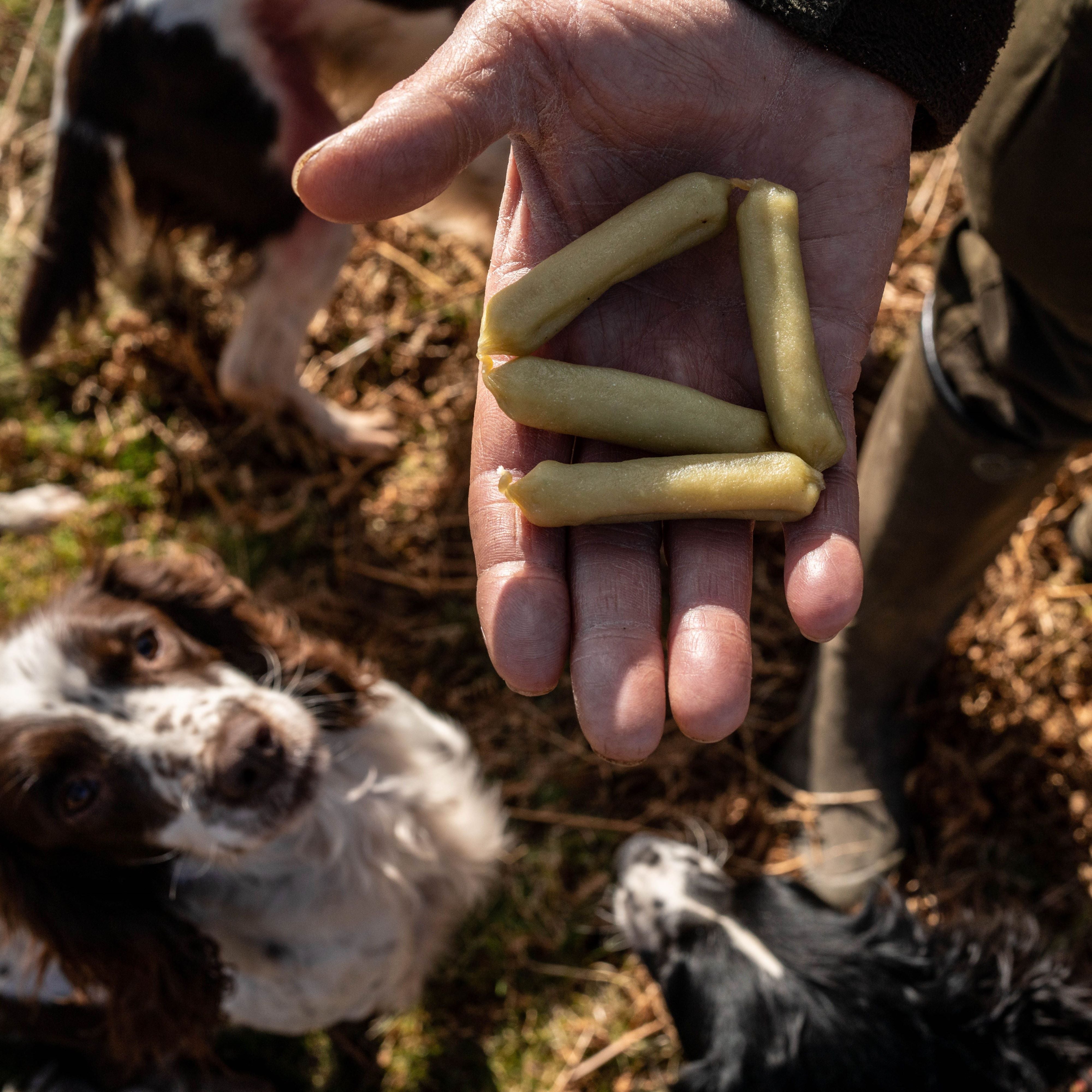 The Innocent Hound Skin Coat hundepølse 10 stk hvitfisk