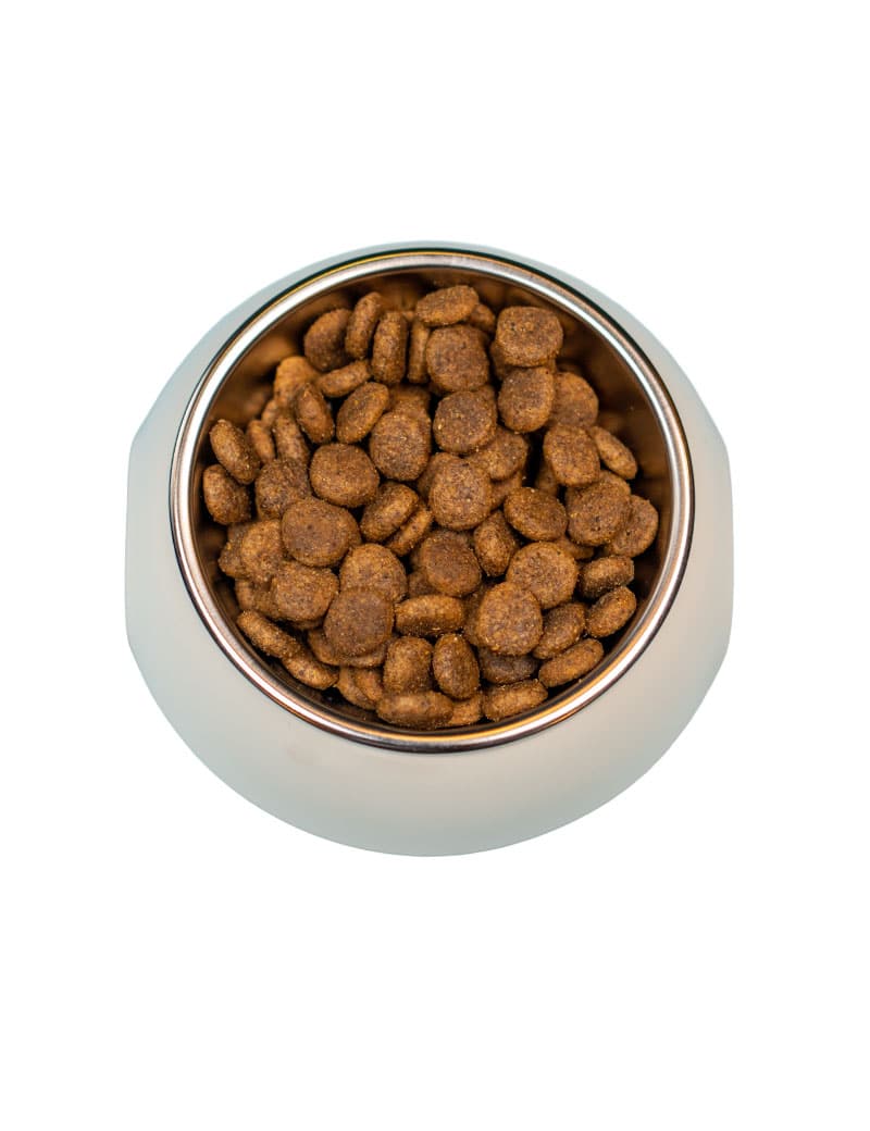 Four Friends Grain Free Lamb hundefôr kornfri