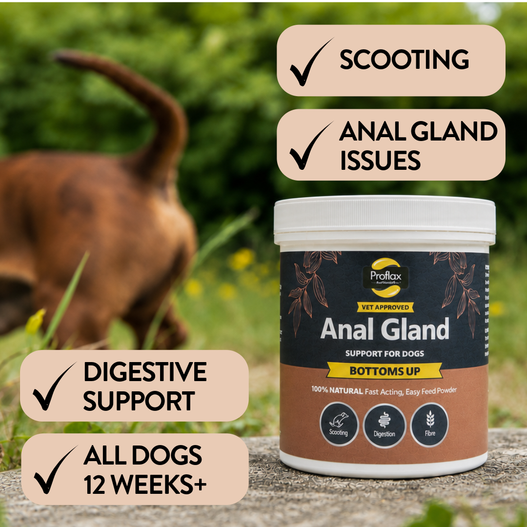 Proflax Bottoms Up tilskudd 115 g analkjertler