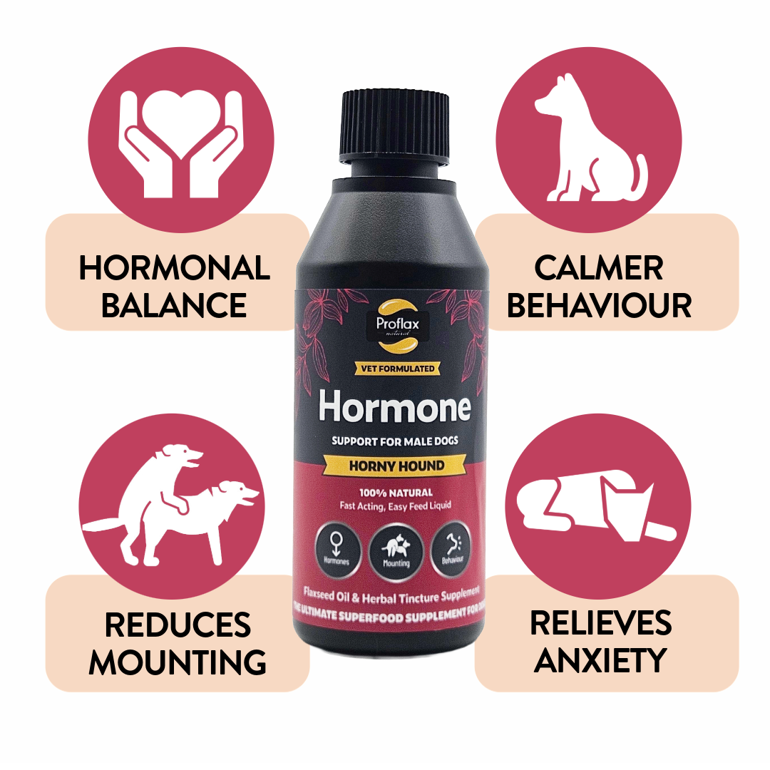 Proflax Horny Hound olje til hannhund 100 ml rolig atferd