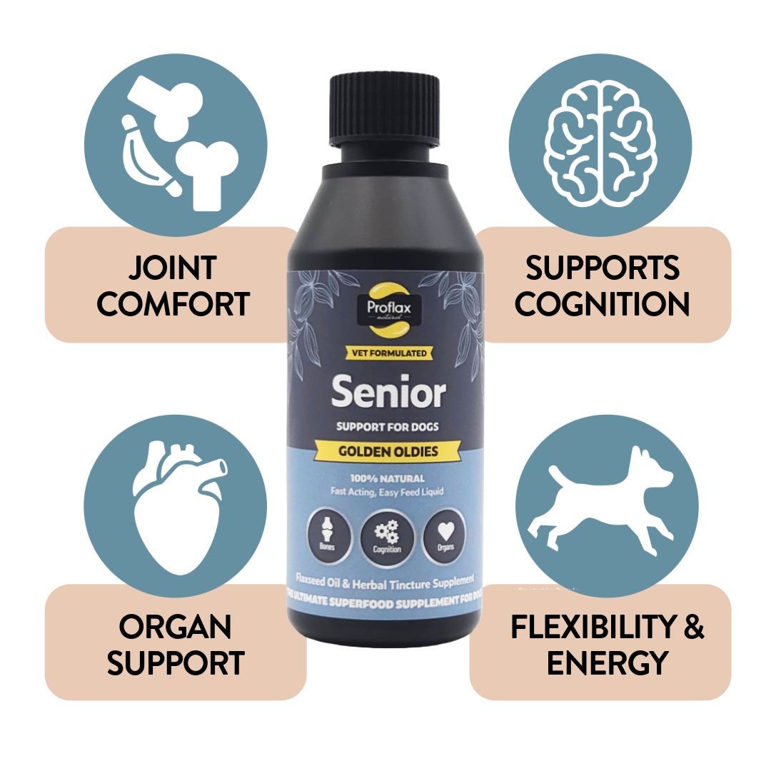 Proflax Golden Oldies olje 100 ml seniorhund