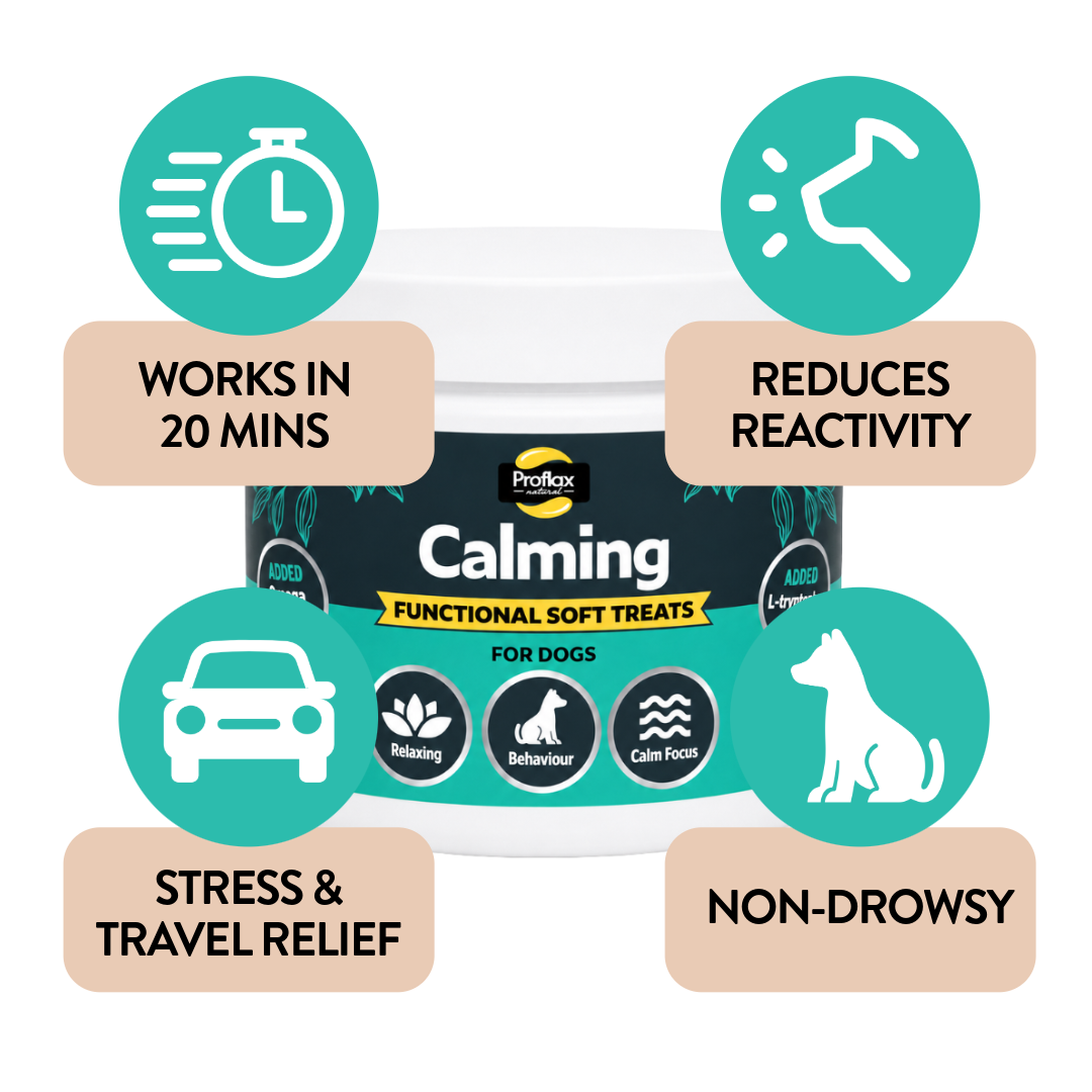 Proflax Calming tyggebiter hund 120 g ro