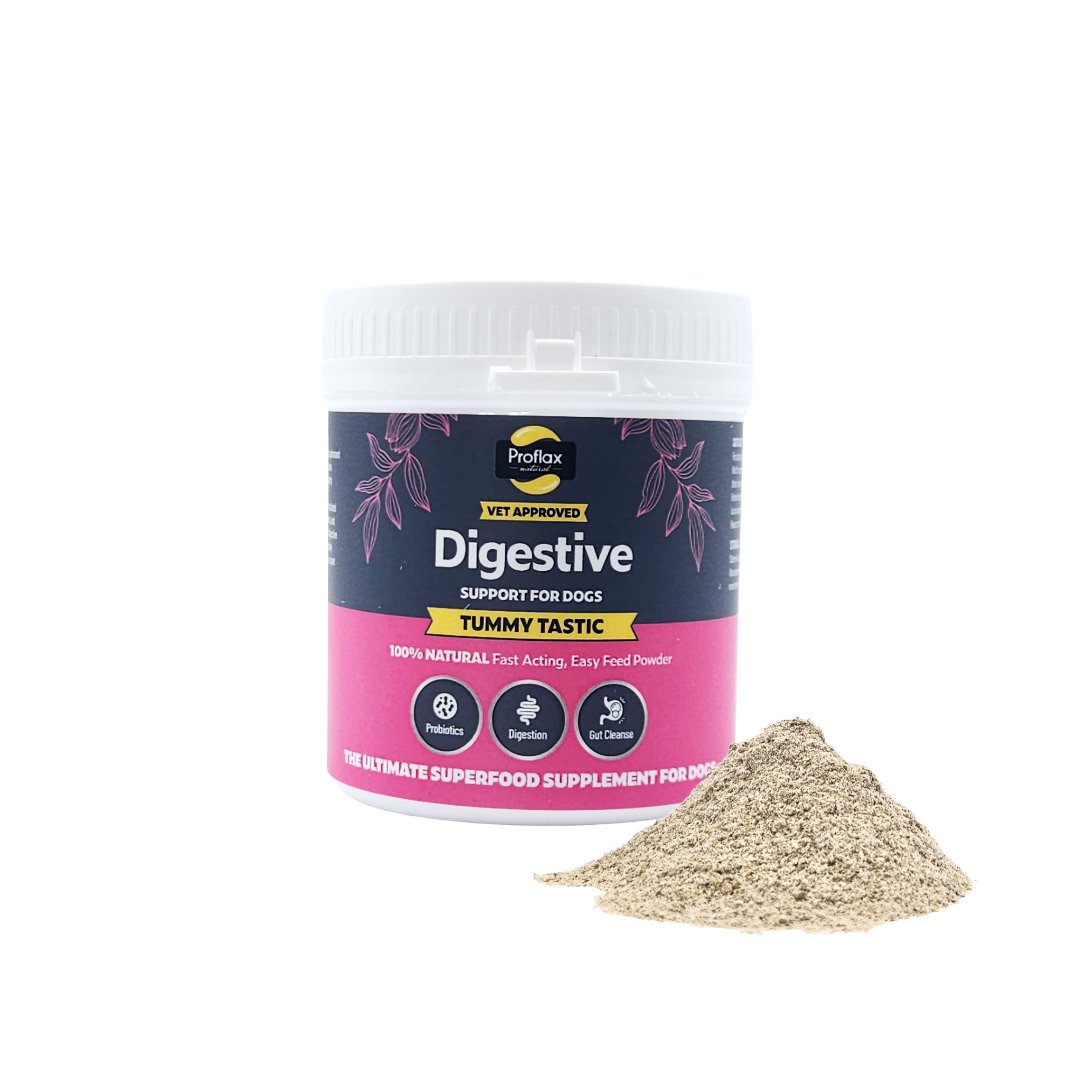 Proflax Tummy Tastic pulver hund 125 g rolig mage