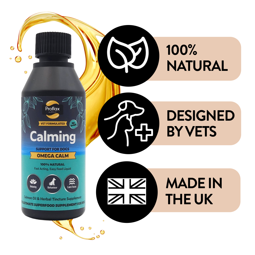 Proflax Omega Calm olje 100 ml beroligende