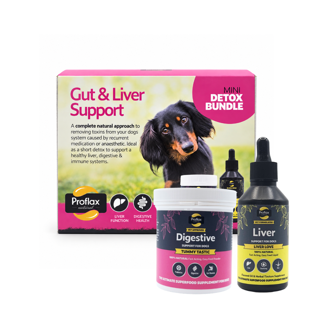 Proflax Mini Detox bundle hund lever og tarmstøtte