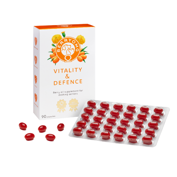 BERRYOMG Vitality & Defence kapsler hund katt 90 stk senior