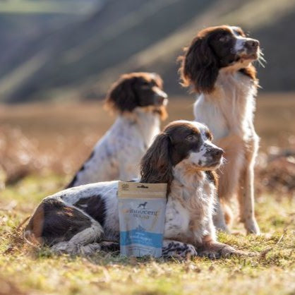 The Innocent Hound Dental Support hundegodbiter lam anis 500 g