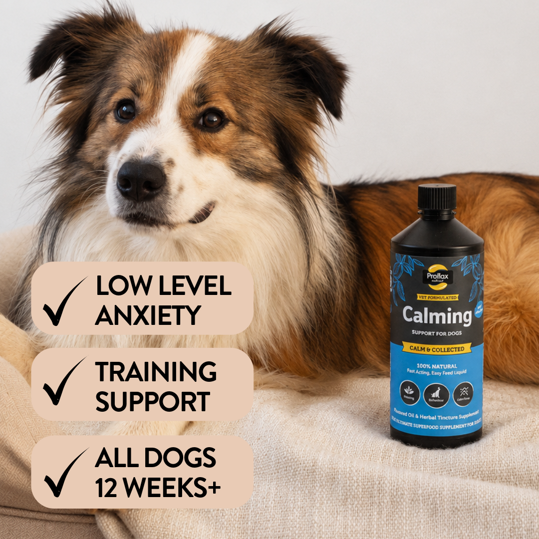 Proflax Calm & Collected olje hund 250 ml rolig