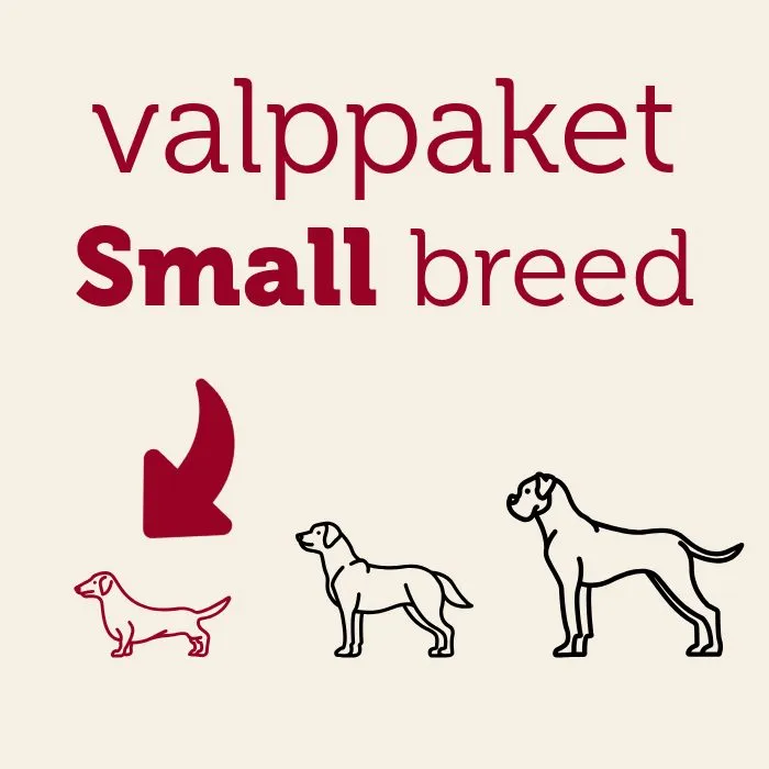 Mera valpepakke Small breed valpefôr godbit tyggestang