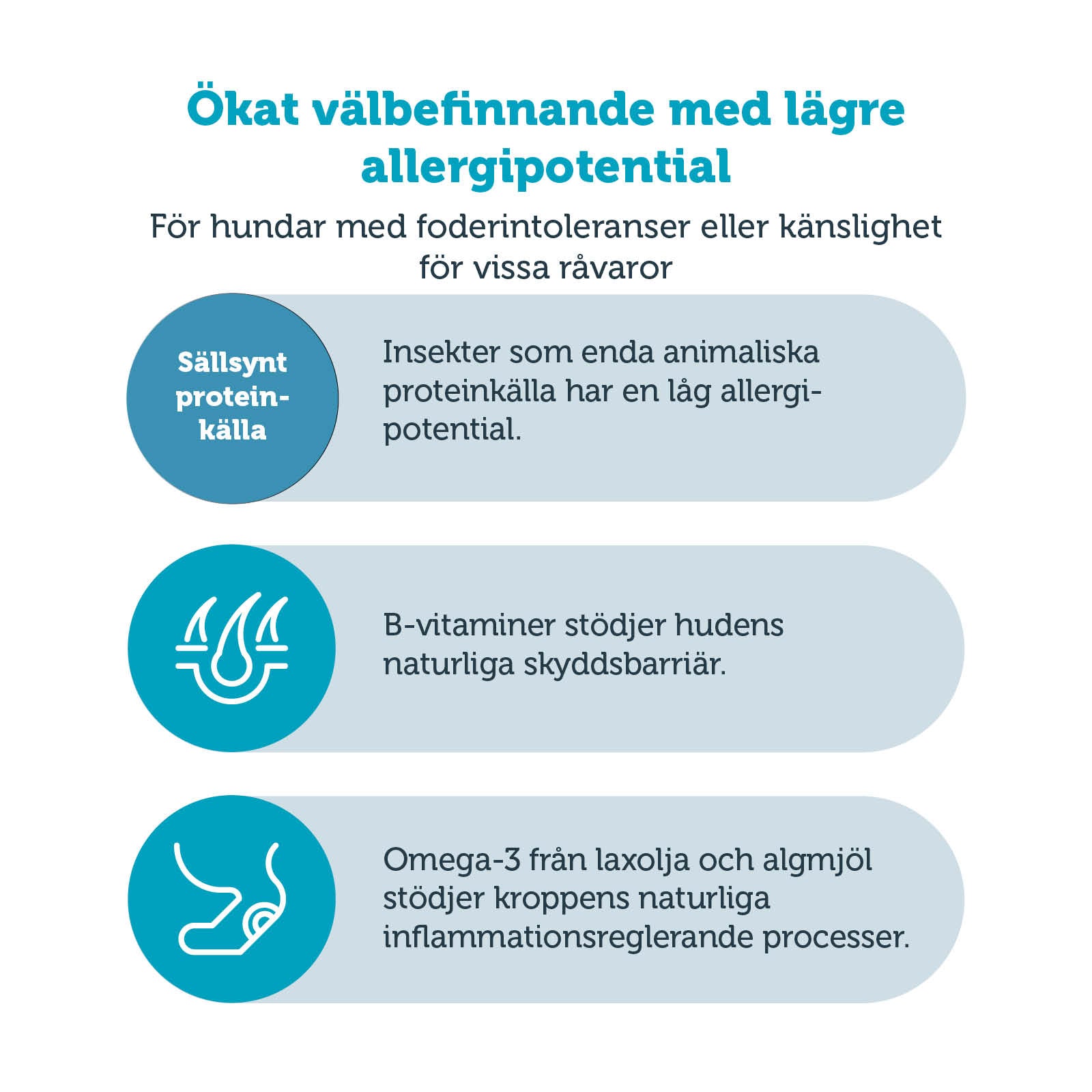 mera vital Insect Pro tørrfôr hund 3 kg insekt
