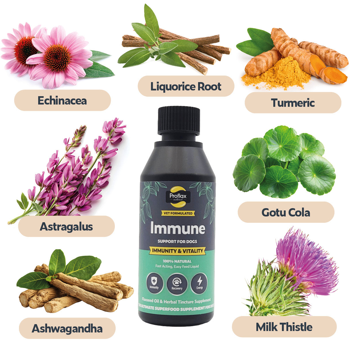 Proflax Immunity Vitality olje 100 ml immun