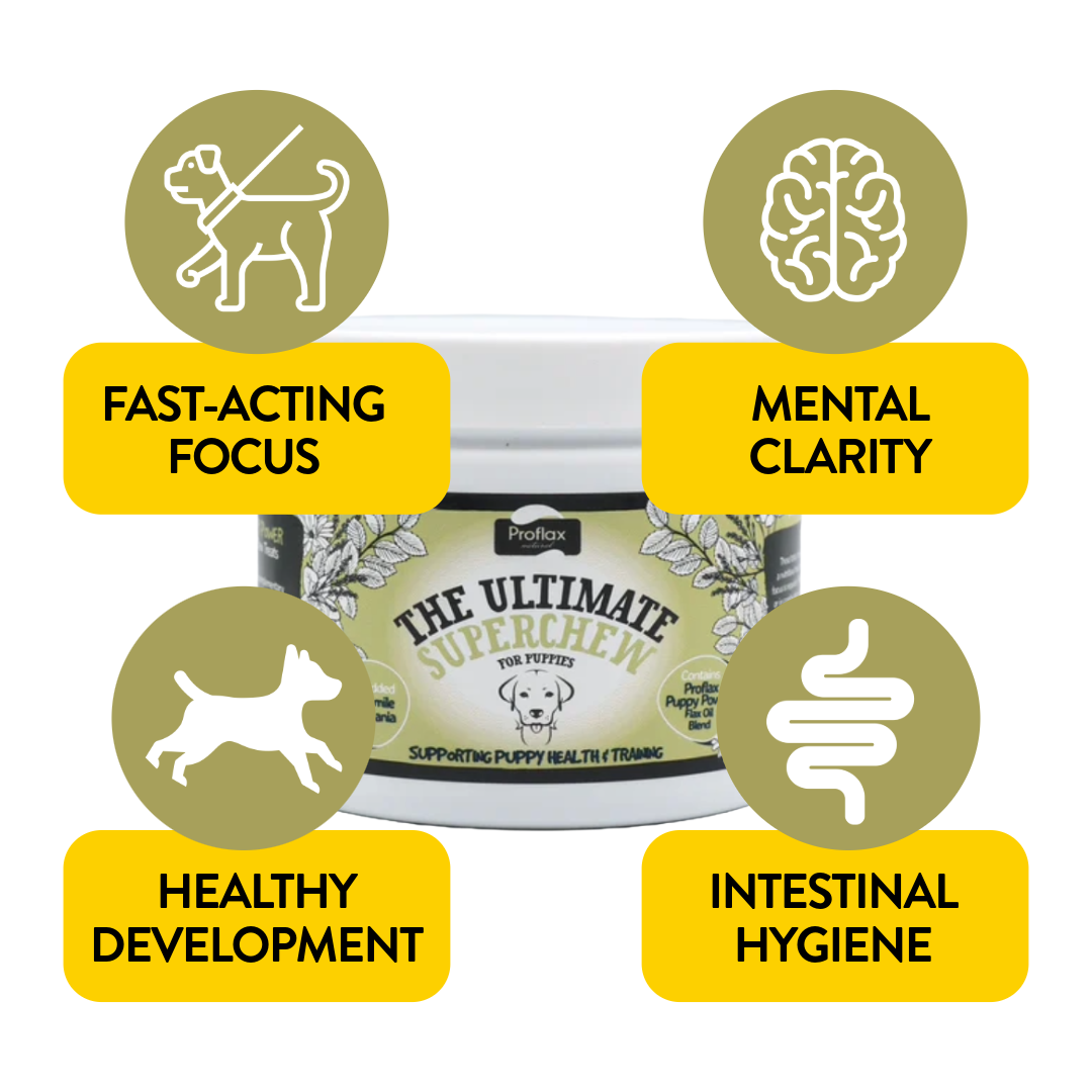 Proflax Puppy Superchews valpegodbit 120g rolig vekst