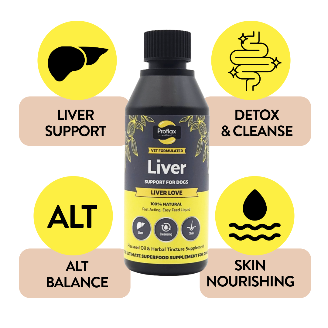 Proflax Liver Love olje 100 ml leverstøtte