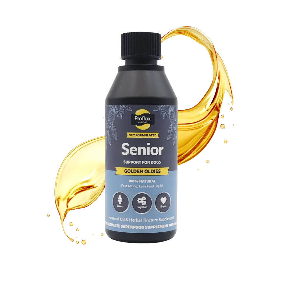 Proflax Golden Oldies olje 100 ml seniorhund