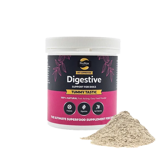 Proflax Tummy Tastic pulver hund 125 g rolig mage