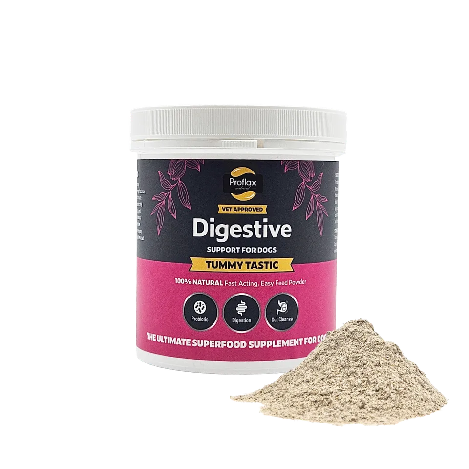 Proflax Tummy Tastic pulver hund 125 g rolig mage