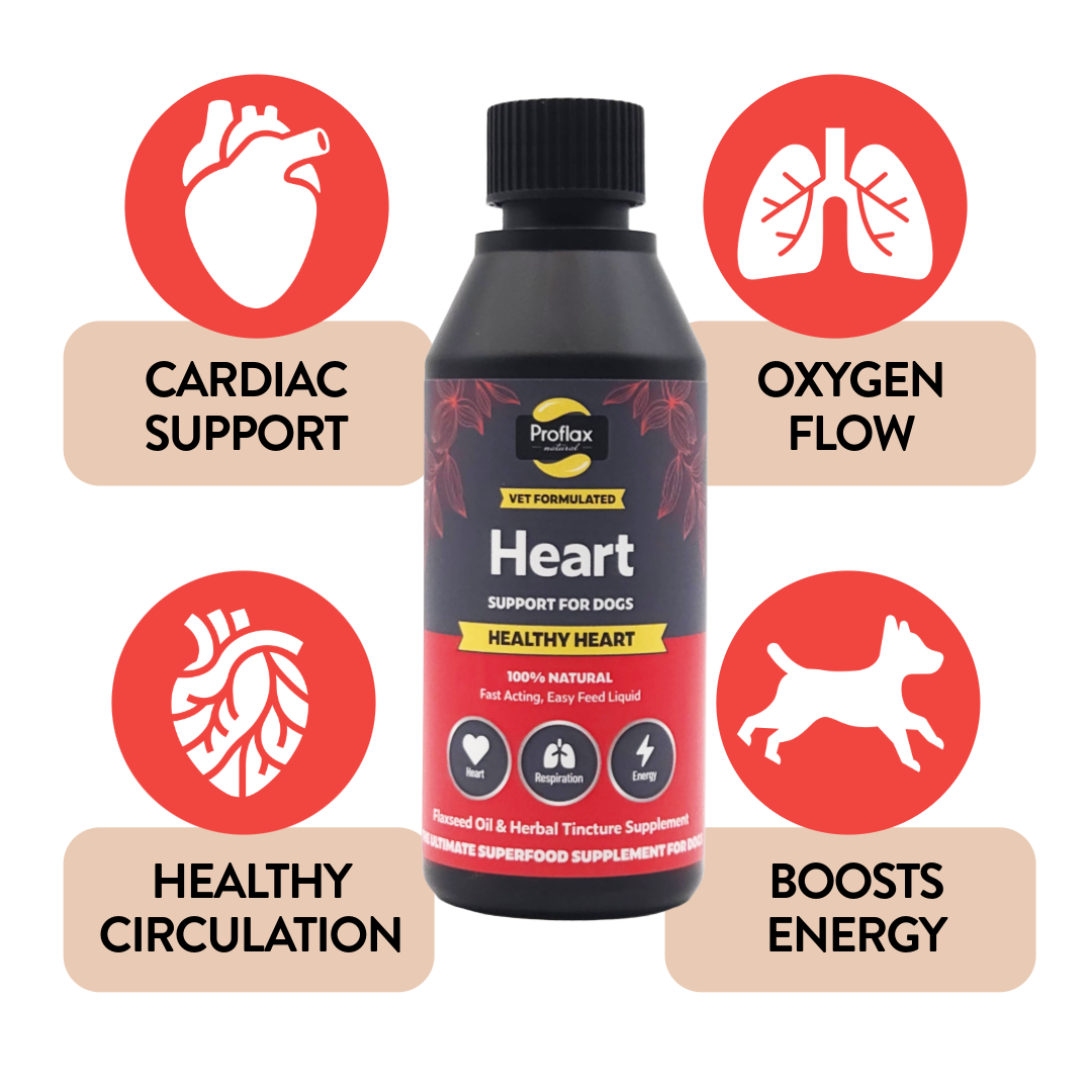 Proflax Healthy Heart olje hundetilskudd 100 ml hjerte
