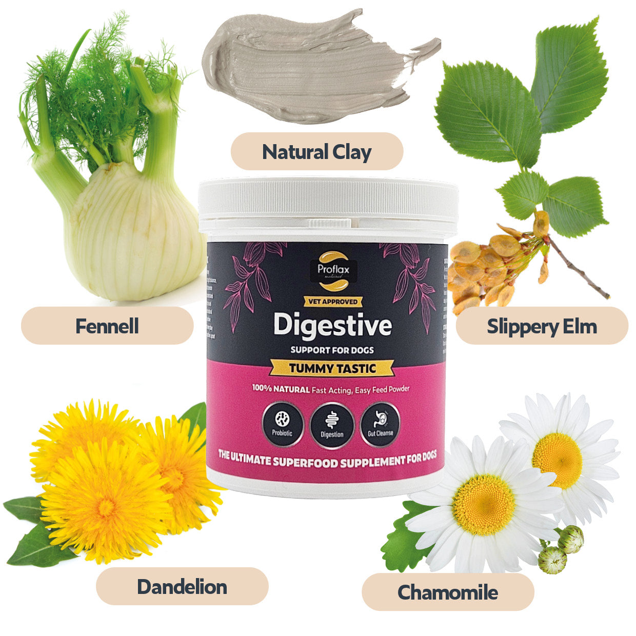 Proflax Tummy Tastic pulver hund 125 g rolig mage