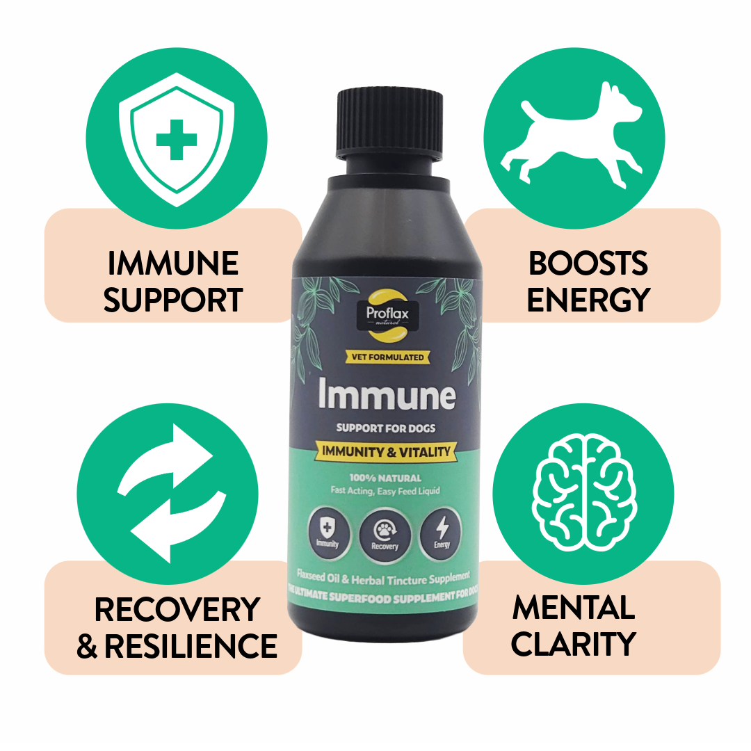 Proflax Immunity Vitality olje 100 ml immun