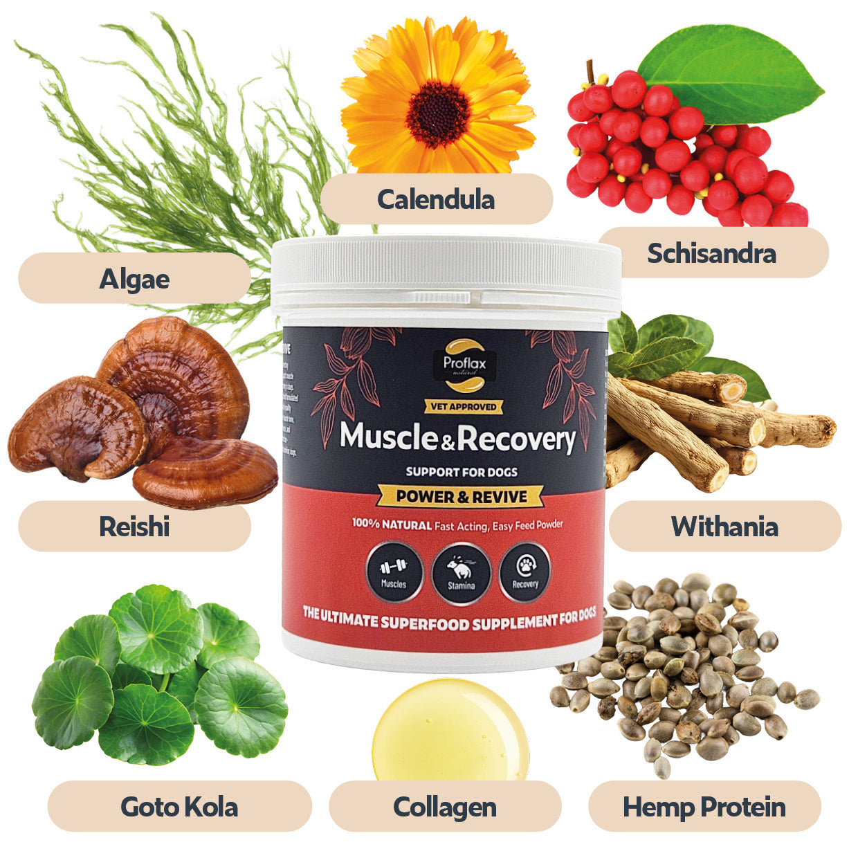 Proflax Power Revive muskelpulver til hund 100 g restitusjon