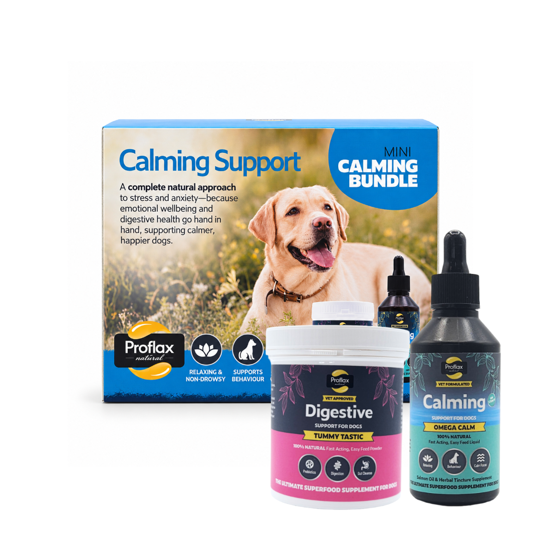 Proflax Mini Chill Out bundle hund ro og magebalanse