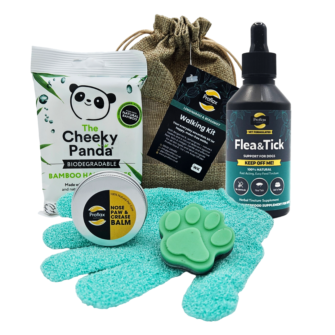 Proflax Summer Adventure Kit stellsett flåttbeskyttelse hund