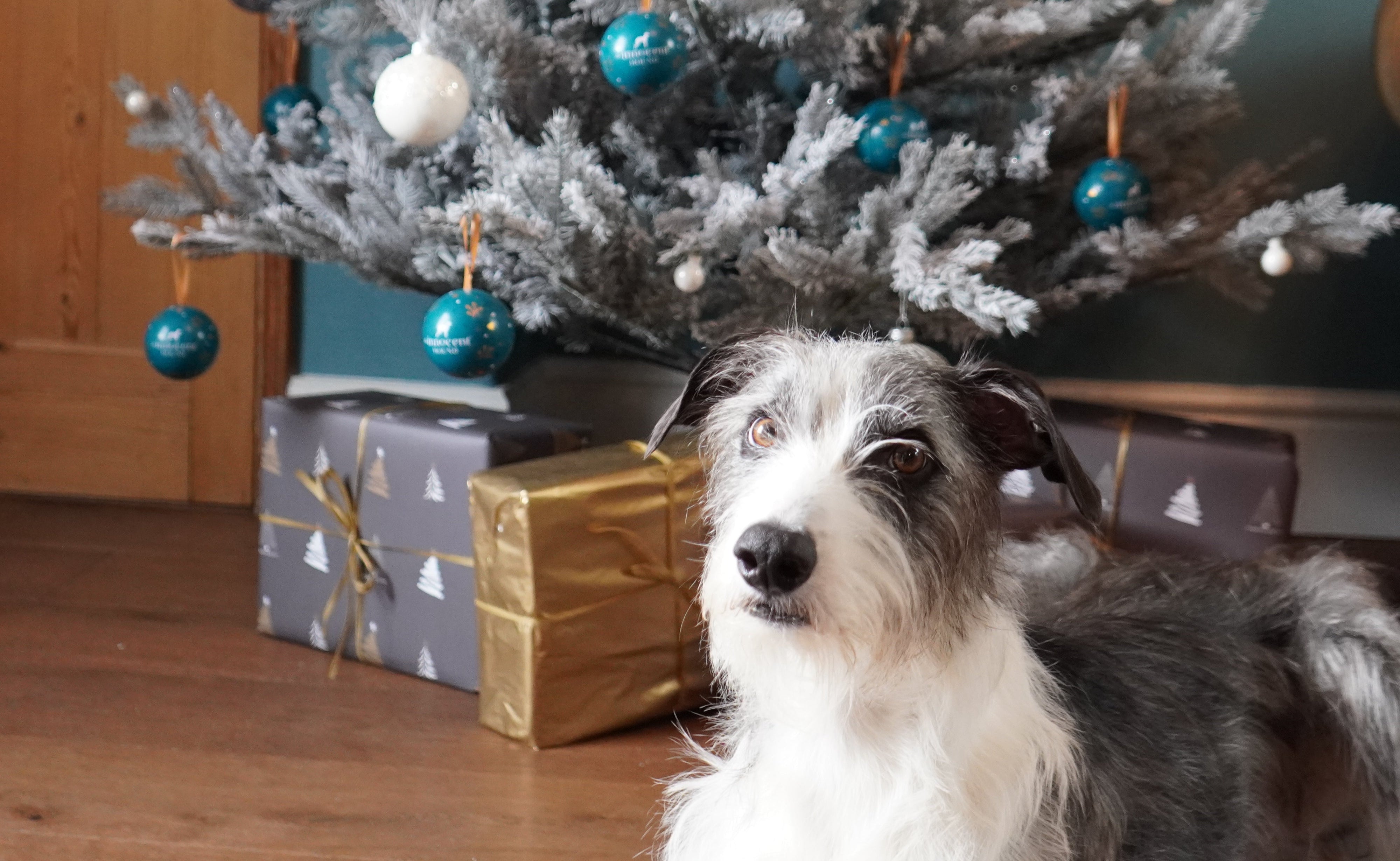 The Innocent Hound Christmas Bauble hundegodt 50 g and vilt