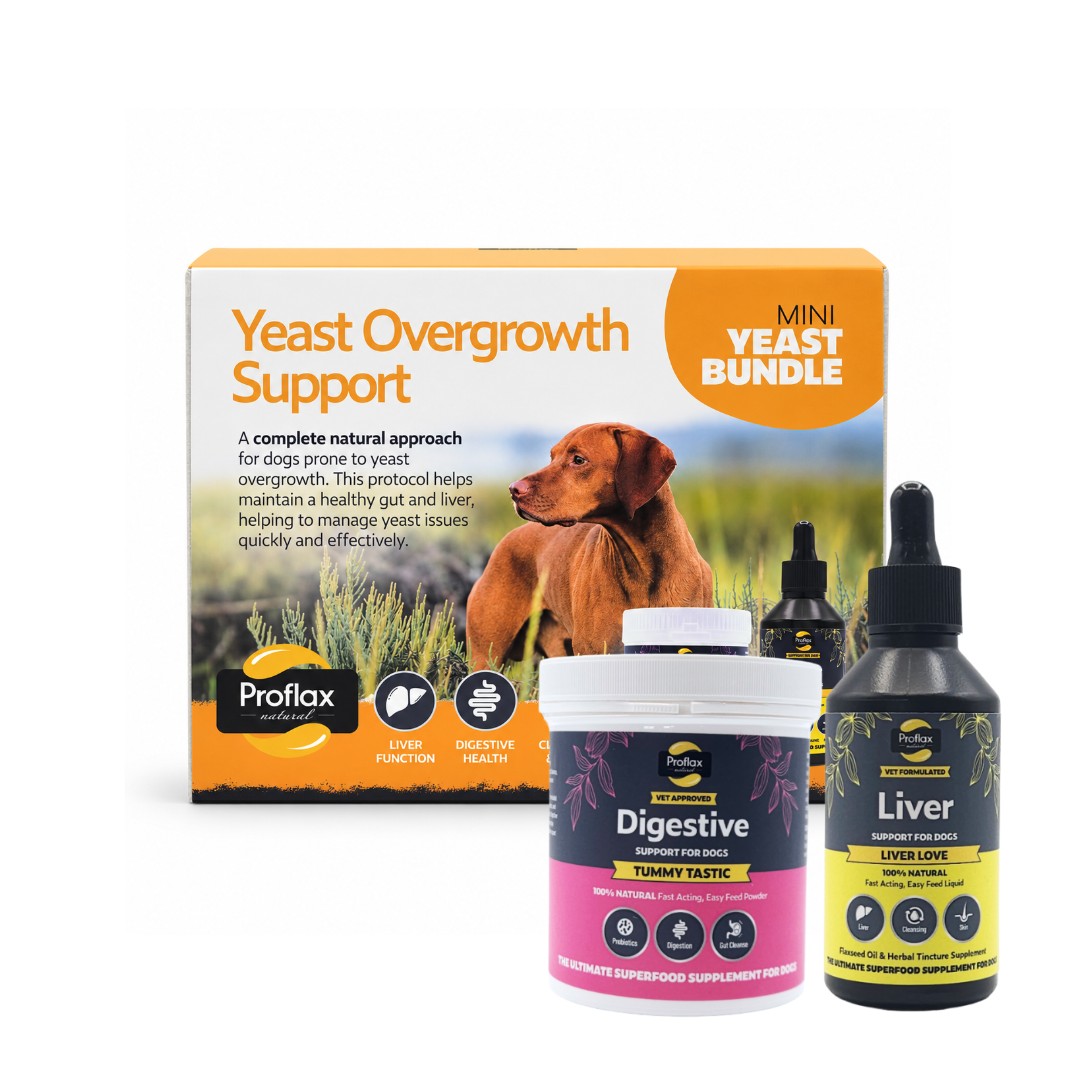Proflax Mini Yeast startpakke til hund for kløe og mage