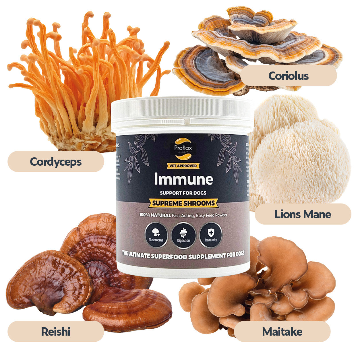 Proflax Supreme Shrooms hundetilskudd 65g immunstøtte