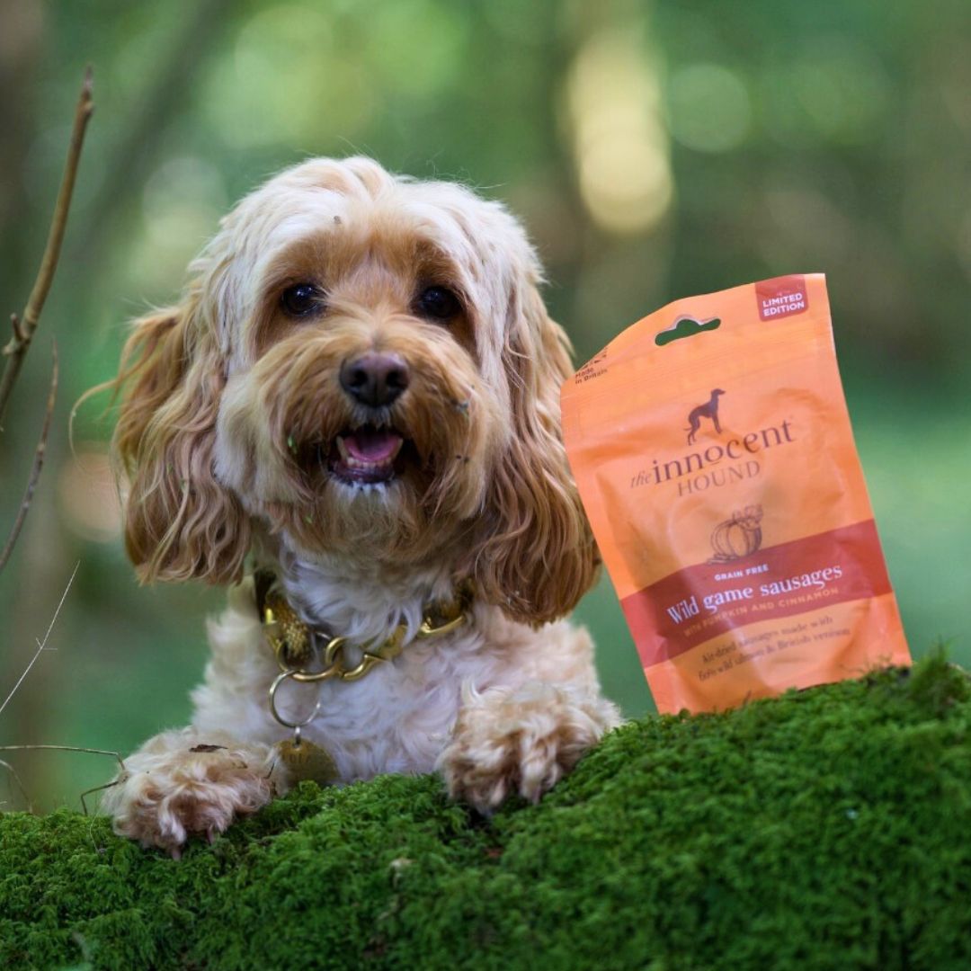 The Innocent Hound Wild Game hundepølser 70g gresskar