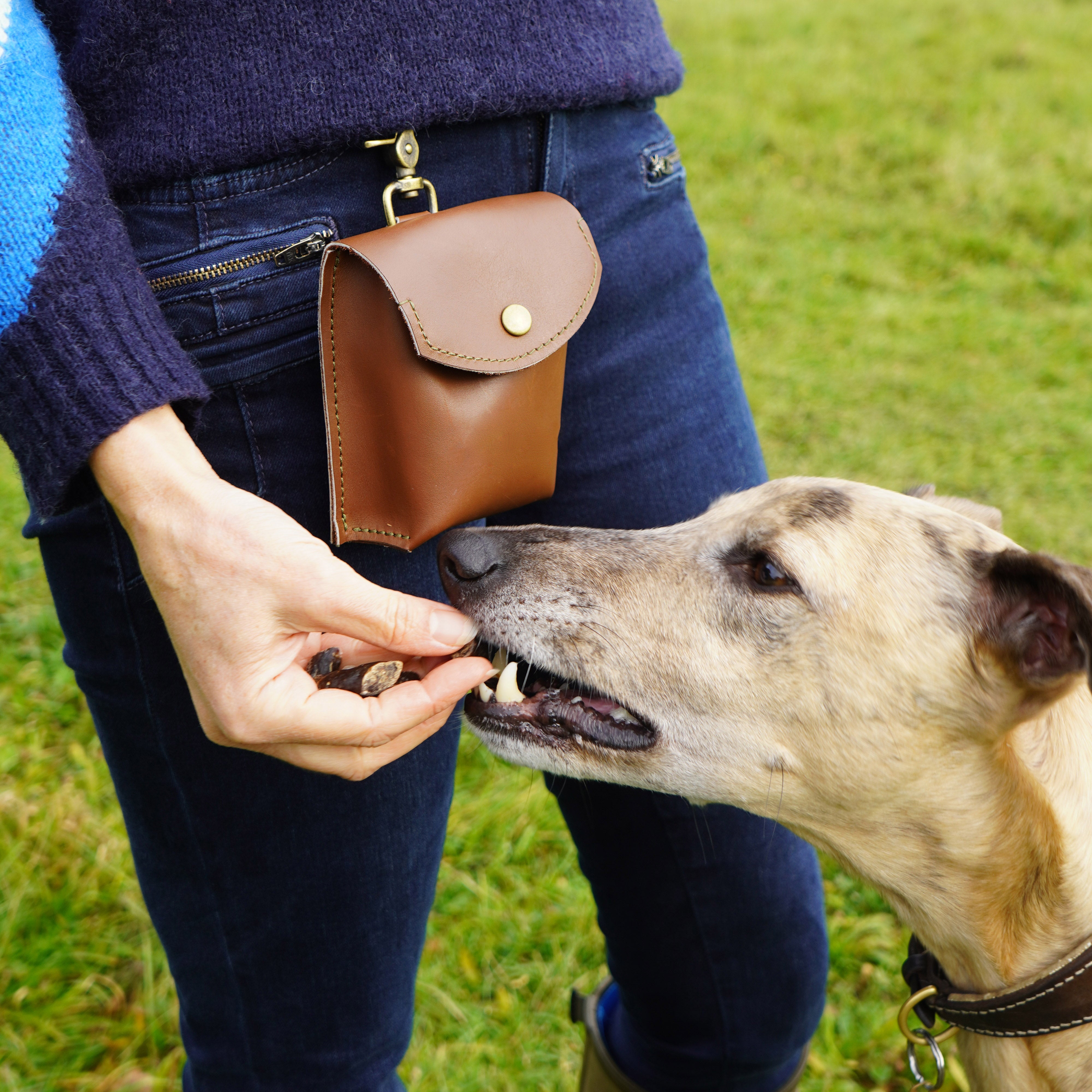 The Innocent Hound Luxury Leather godbitveske skinn