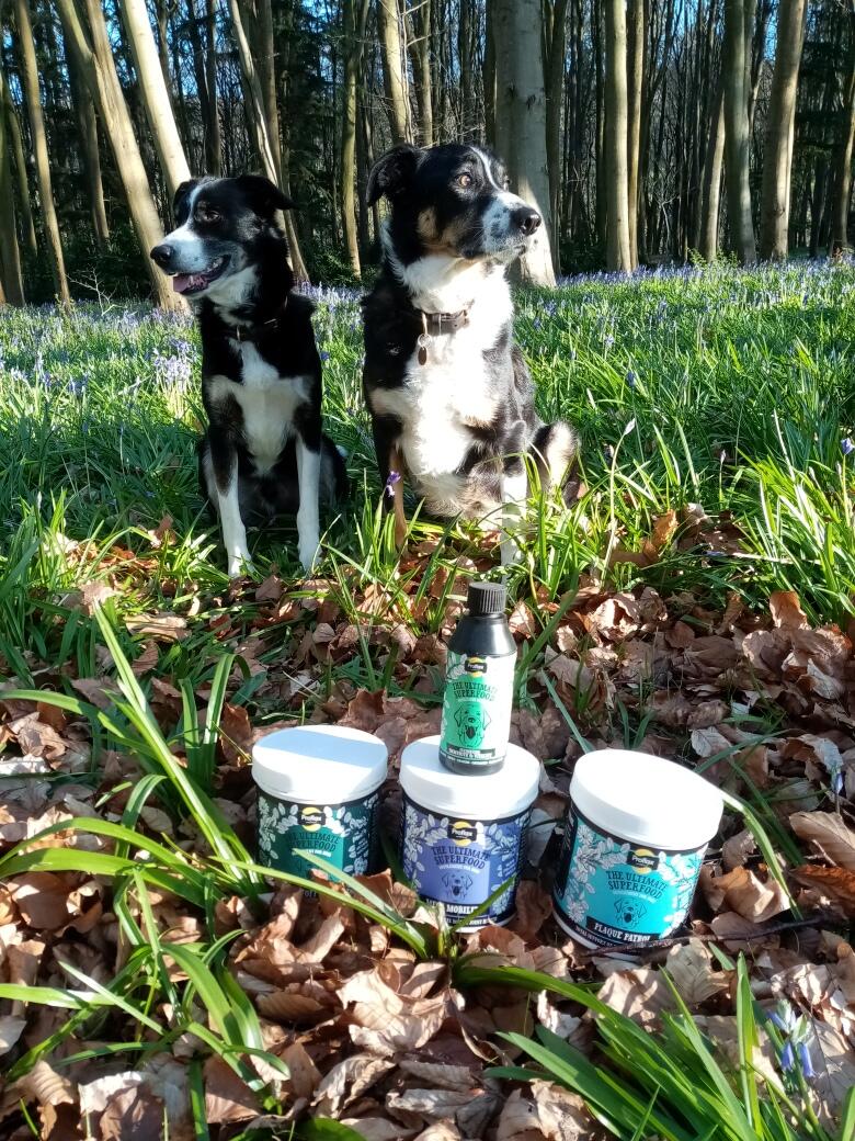 Proflax Mega Mobility pulver hundetilskudd 125 g ledd