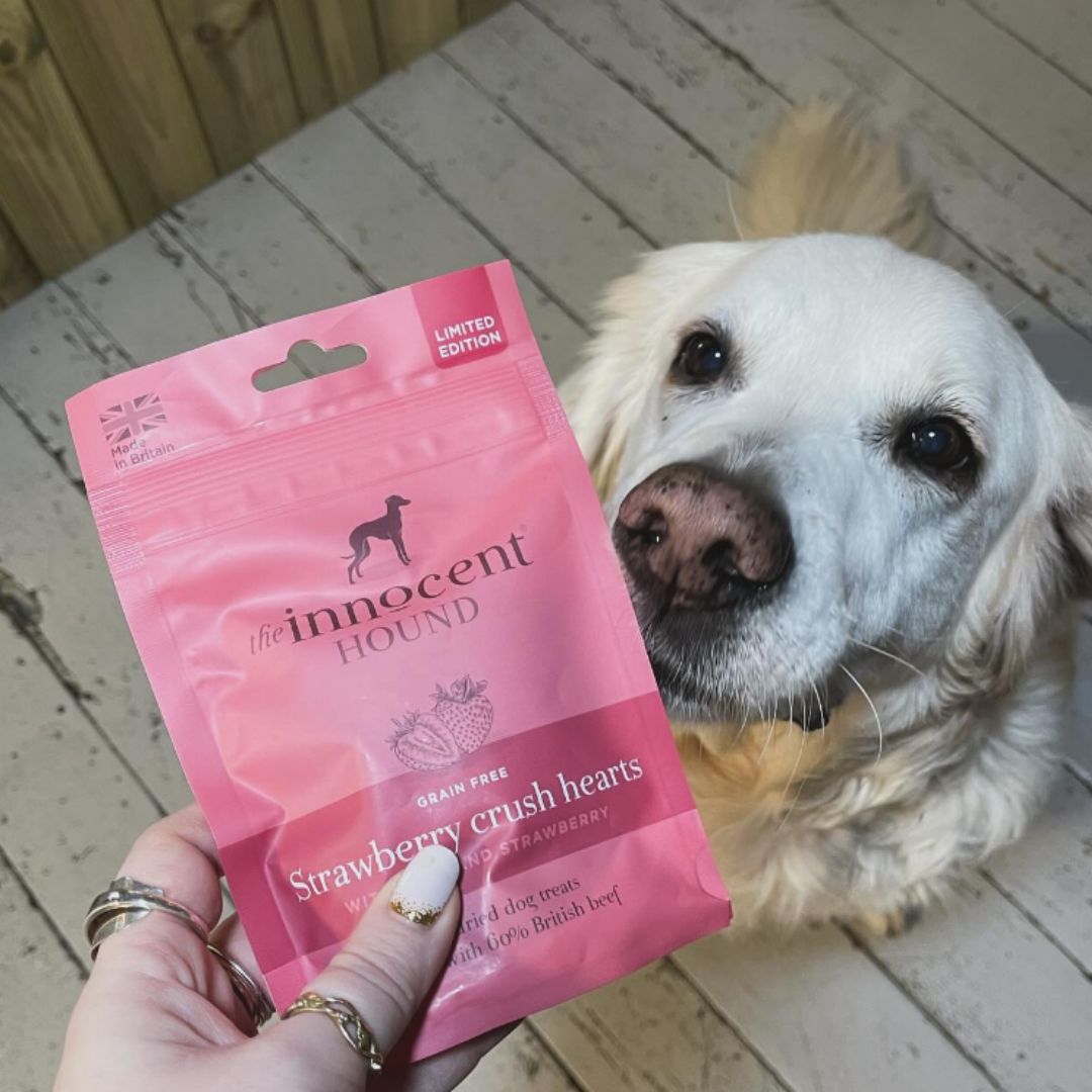 The Innocent Hound Strawberry Crush hundegodbiter 70g biff