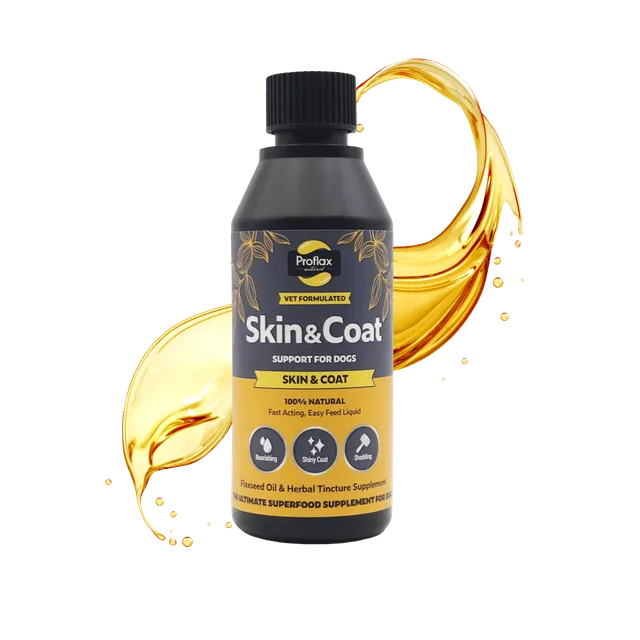 Proflax Skin & Coat olje for hund 250 ml blank pels