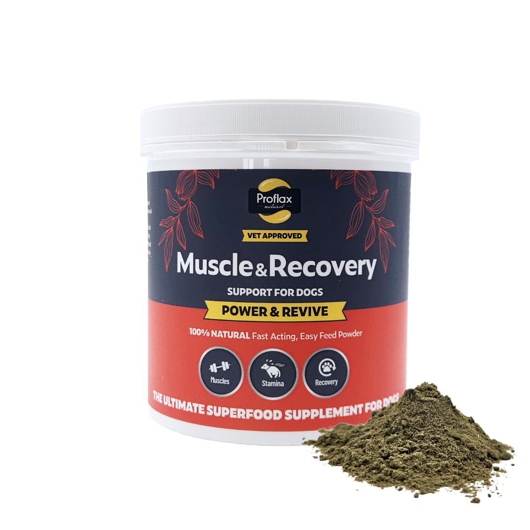 Proflax Power Revive muskelpulver til hund 100 g restitusjon