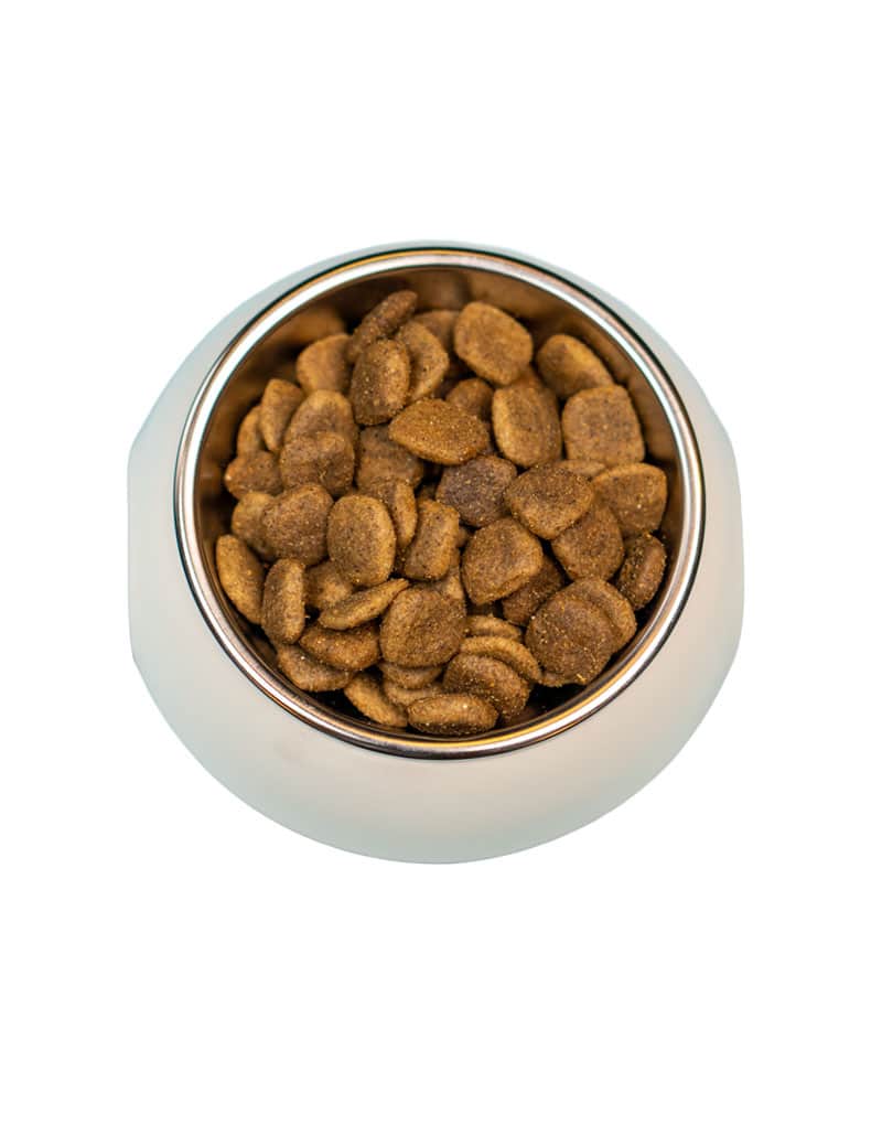 Four Friends Grain Free Wild Boar tørrfôr villsvin