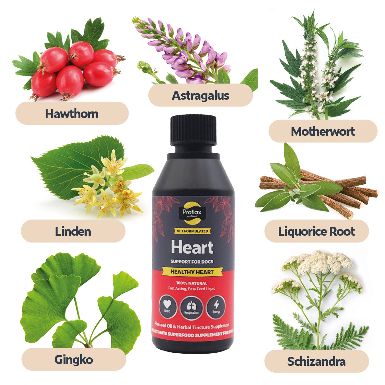 Proflax Healthy Heart olje hundetilskudd 100 ml hjerte